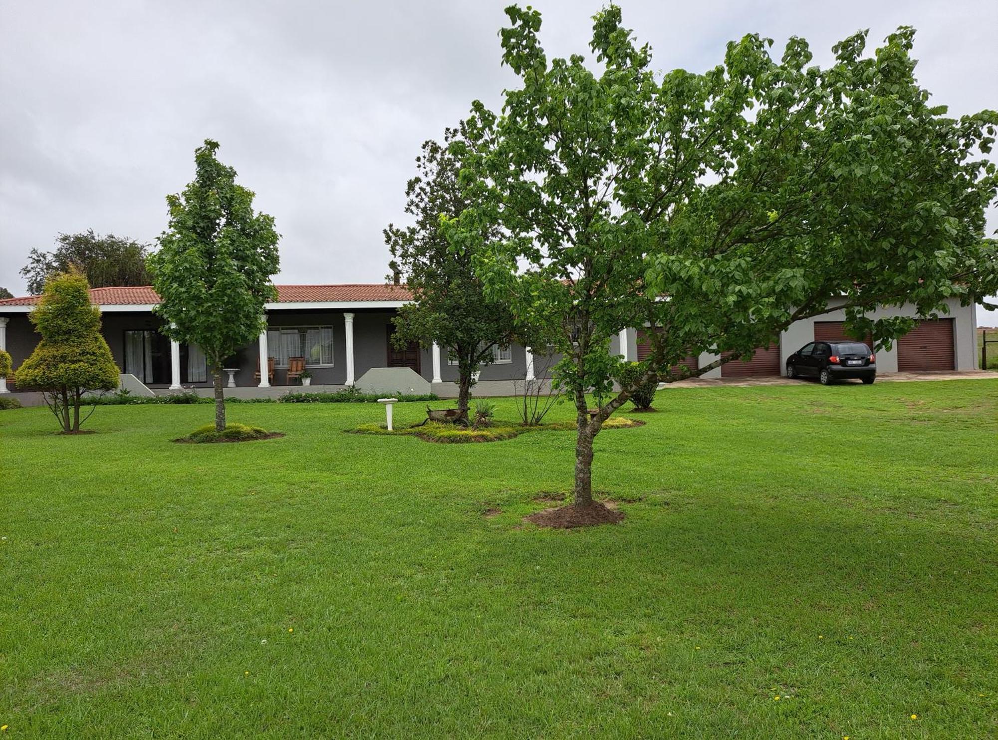 Mountain View Guest House Dundee Exterior photo